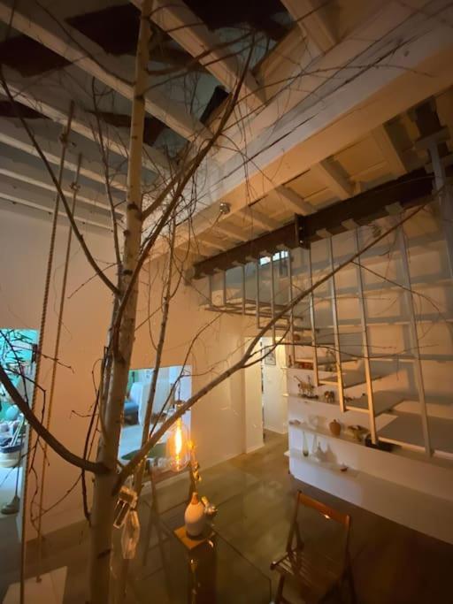 Casa Degli Alberi Apartment Turin Ngoại thất bức ảnh