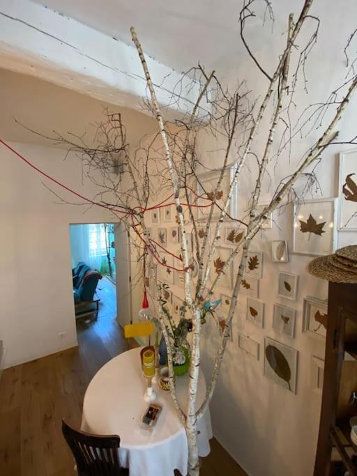 Casa Degli Alberi Apartment Turin Ngoại thất bức ảnh