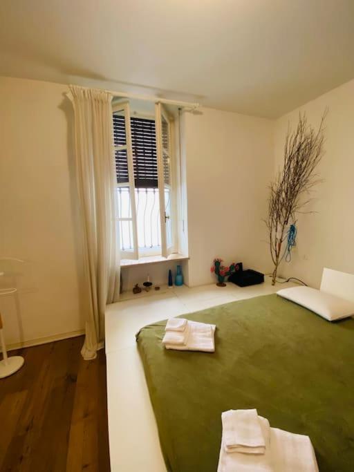 Casa Degli Alberi Apartment Turin Ngoại thất bức ảnh