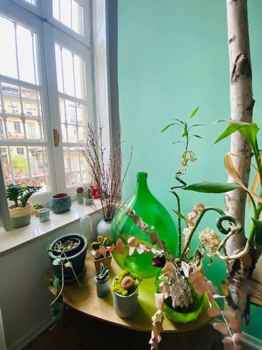 Casa Degli Alberi Apartment Turin Ngoại thất bức ảnh